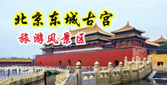 鸡巴艹小逼视频中国北京-东城古宫旅游风景区